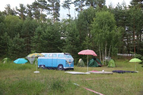 278.jpg