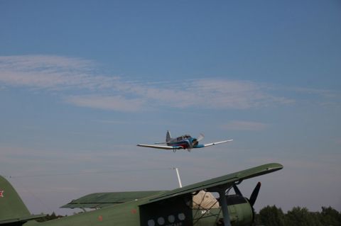 161.jpg