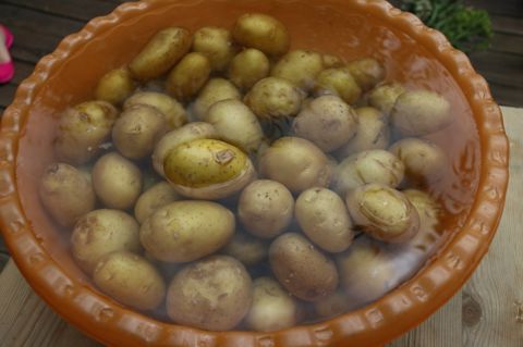 115.jpg