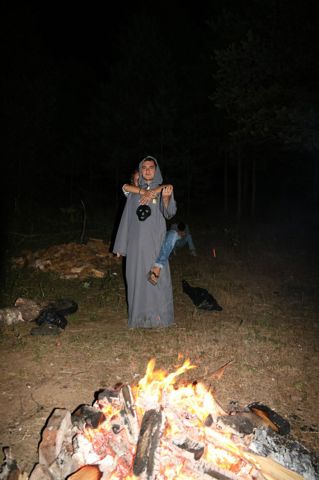 221.jpg