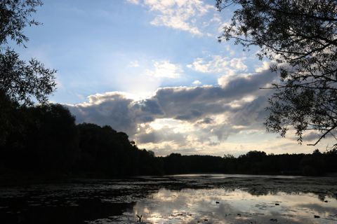 124.jpg