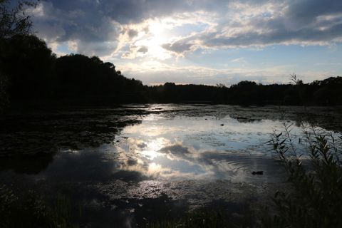 126.jpg