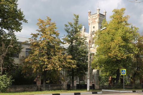 125.jpg