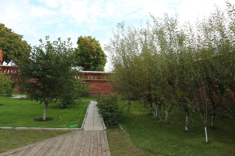 146.jpg