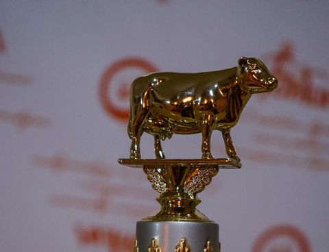 185.jpg