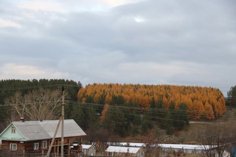 149.jpg
