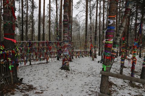 207.jpg