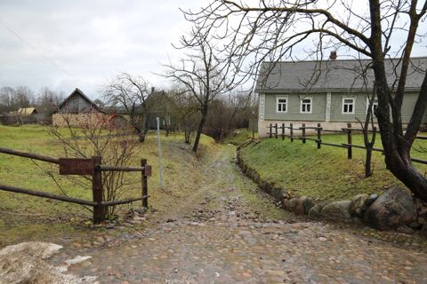 124.jpg