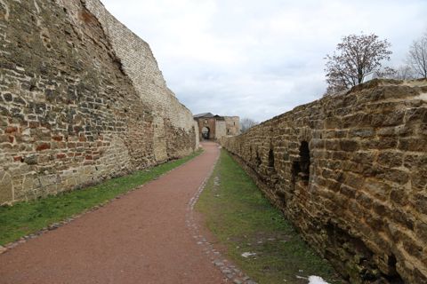 129.jpg