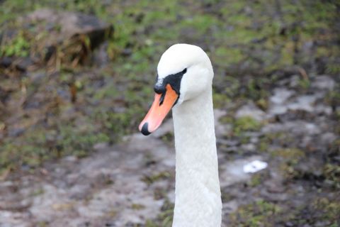 157.jpg