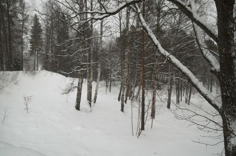 124.jpg
