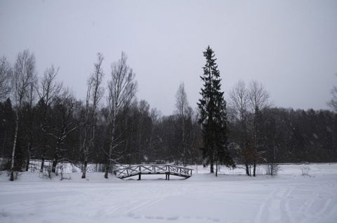 127.jpg