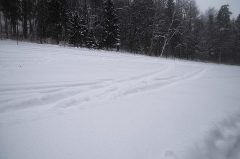 136.jpg