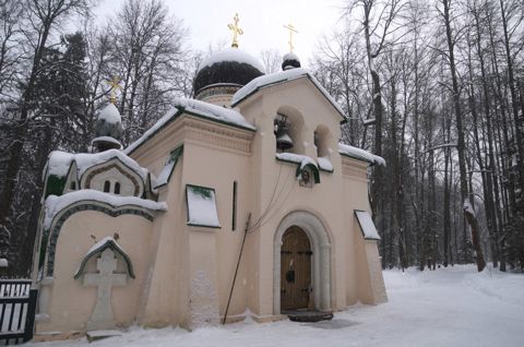 141.jpg