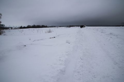 015.jpg
