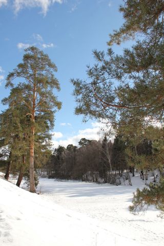 008.jpg