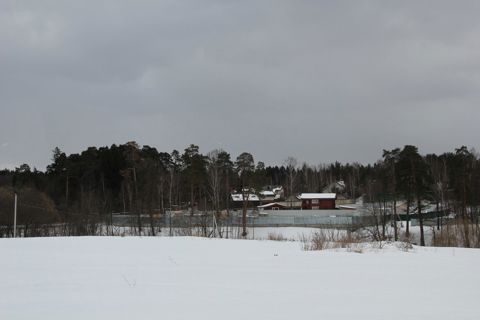 117.jpg