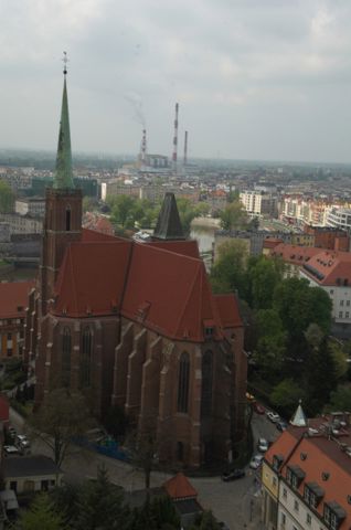 161.jpg