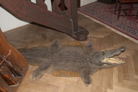 138.jpg