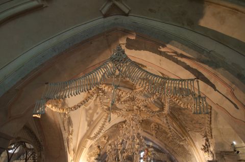 146.jpg