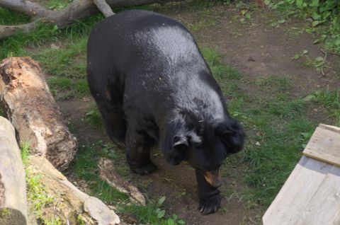 185.jpg