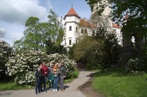 190.jpg