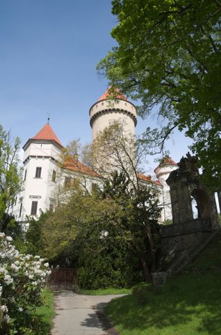 191.jpg