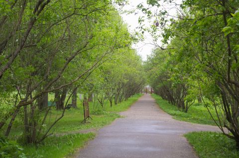 06.jpg