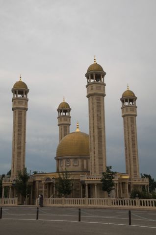 006.jpg