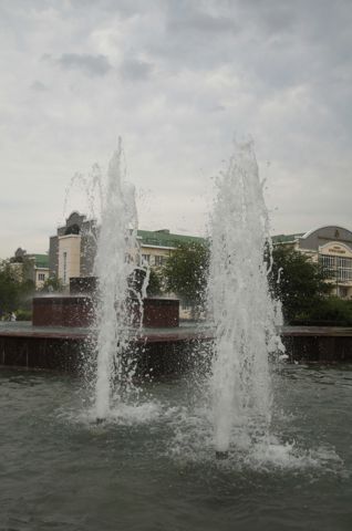 042.jpg