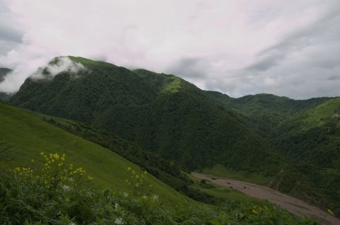 102.jpg