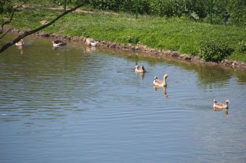 07.jpg