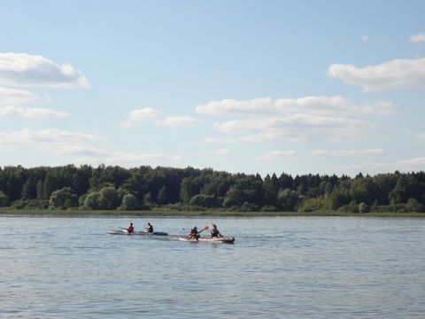 141.jpg