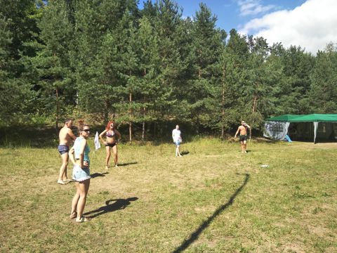 230.jpg
