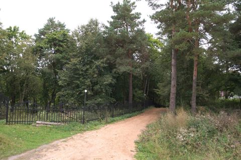 02.jpg