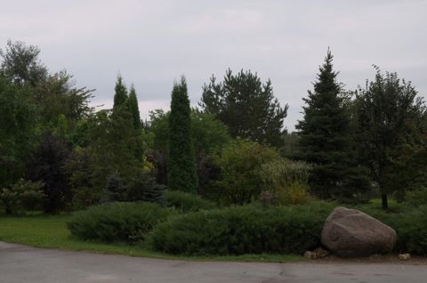46.jpg