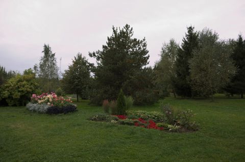 54.jpg