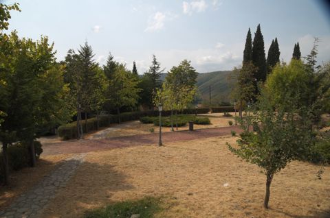 050.jpg