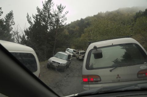 130.jpg