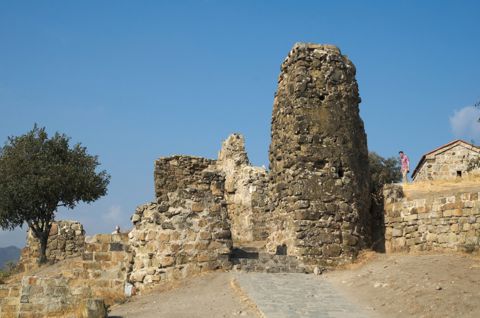 164.jpg
