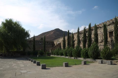 174.jpg