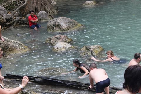031.jpg