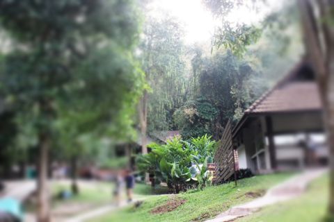 037.jpg