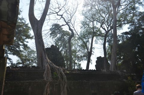 125.jpg