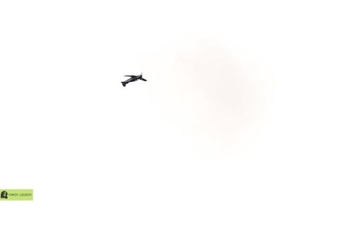 007.jpg