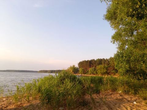 113.jpg