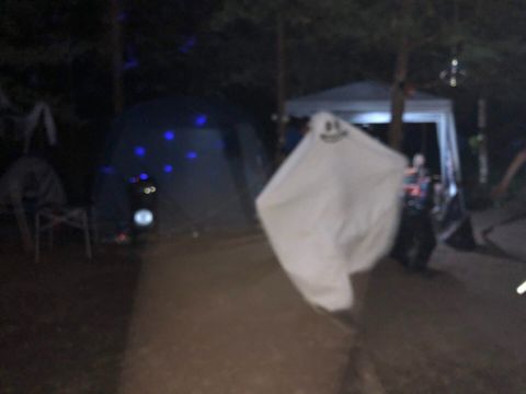 030.jpg