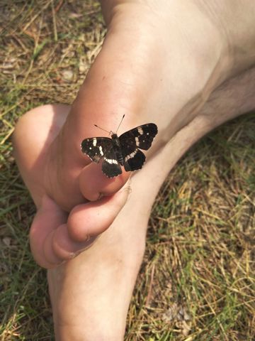 045.jpg