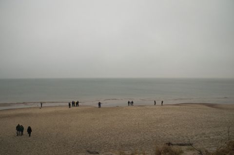 79.jpg