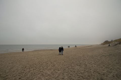 81.jpg